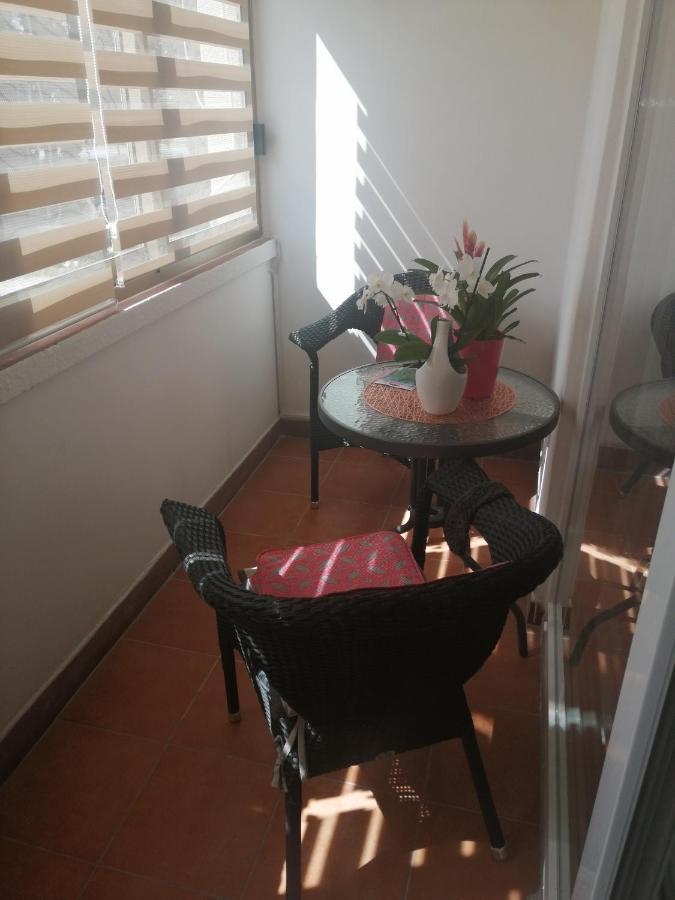 Apartments Mary & Free Parking Rovinj Eksteriør bilde